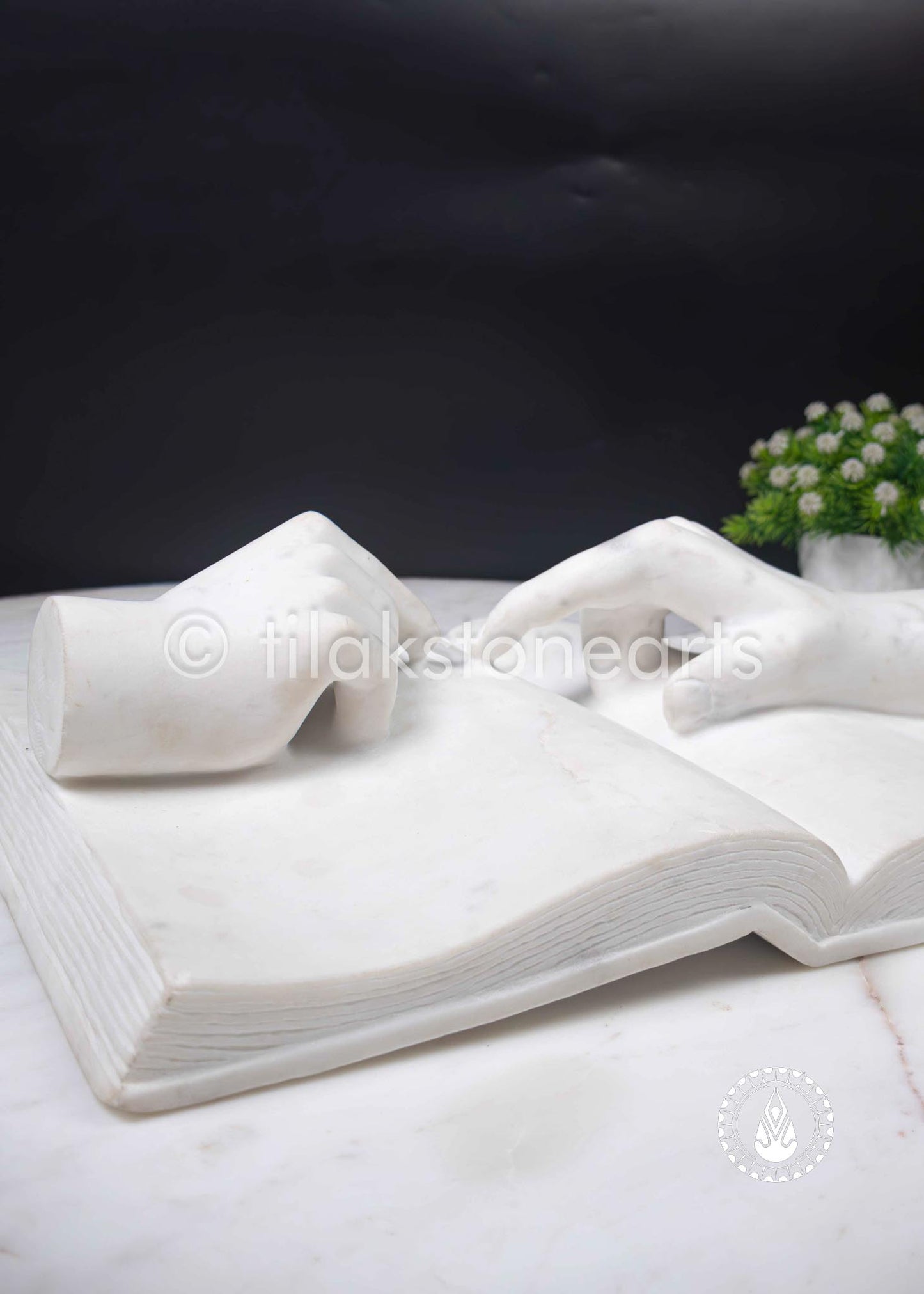 Modern Art 12" | Wonder White