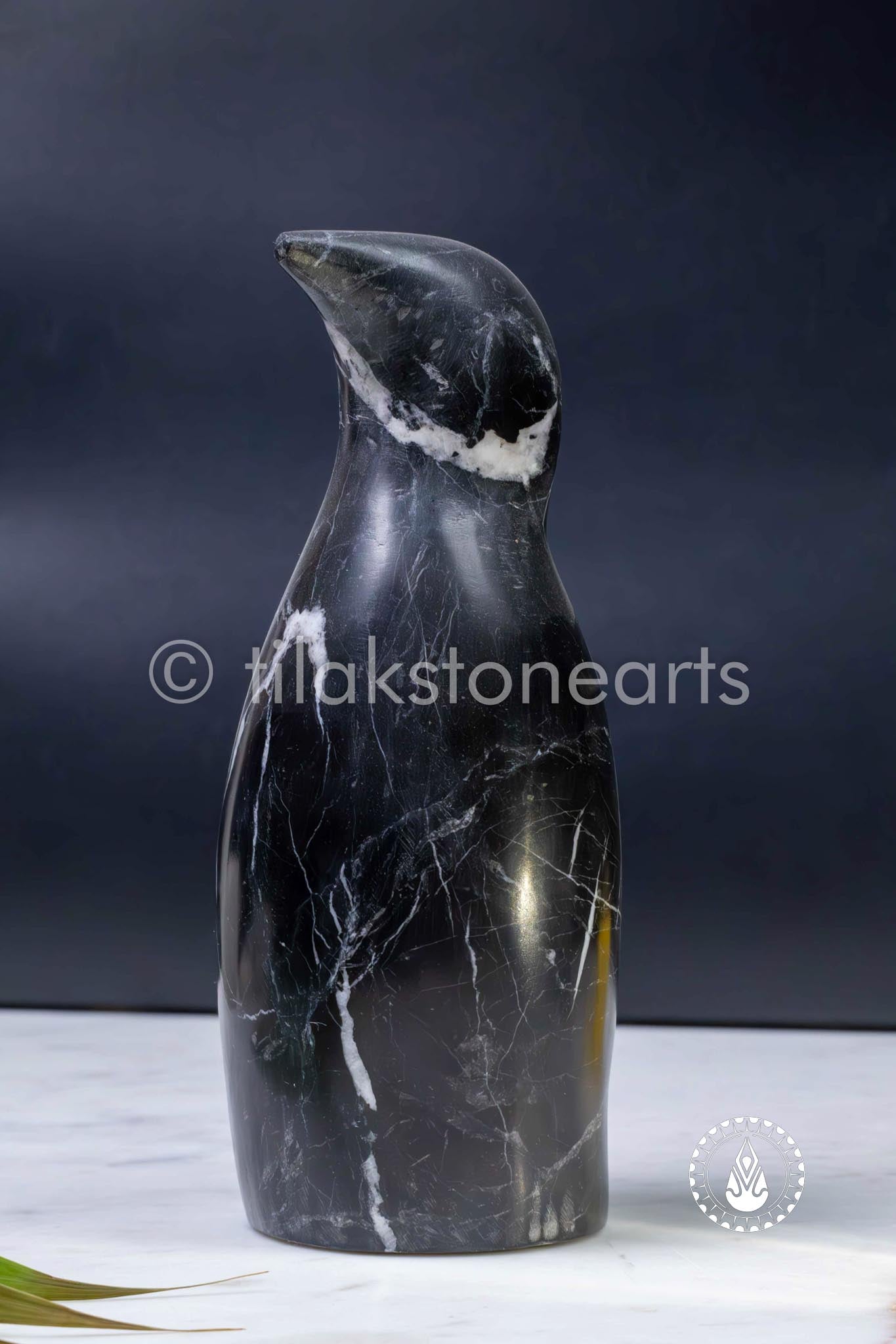 Penguin 8" | Mid Night Black Stone