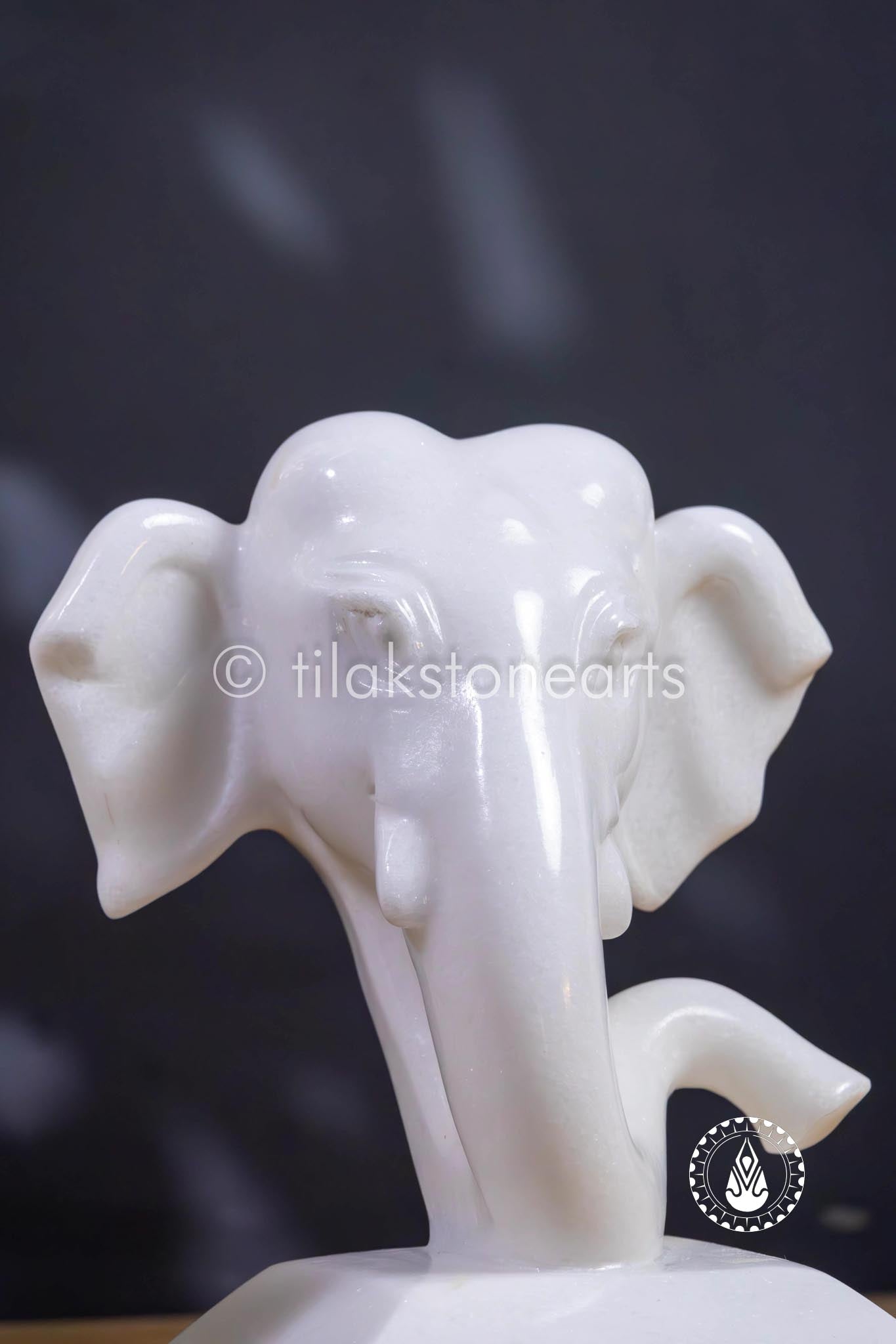 Ganesha 7" | Swiss White (Imported)