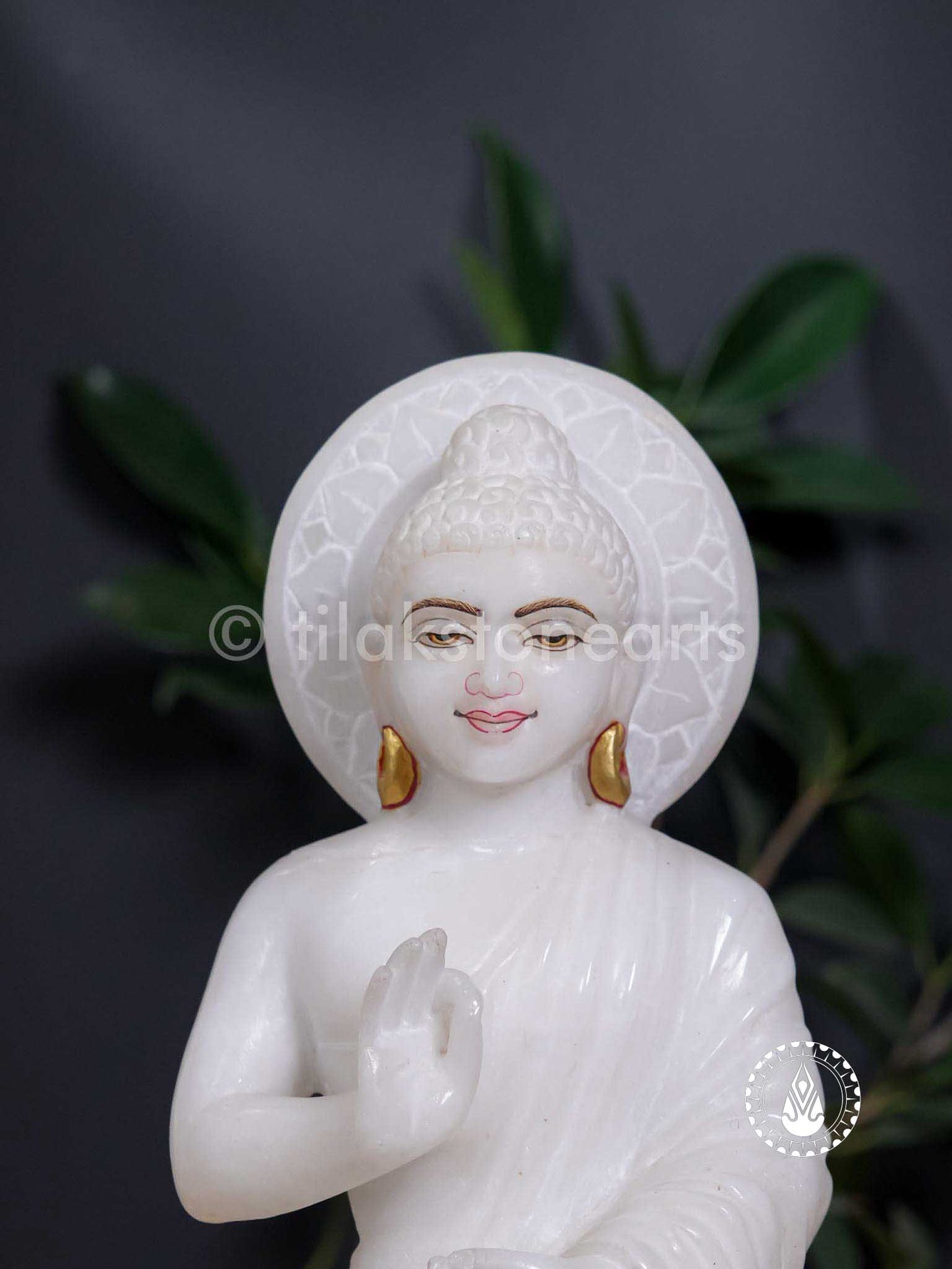 Buddha Ji 9" | Swiss White (Imported)