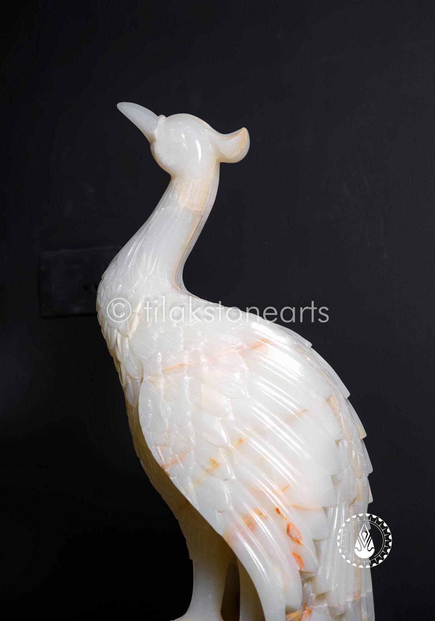 The Majestic Peacock 48" | Honey Onyx
