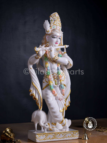 Krishna Ji 27" | Swiss White (Imported)