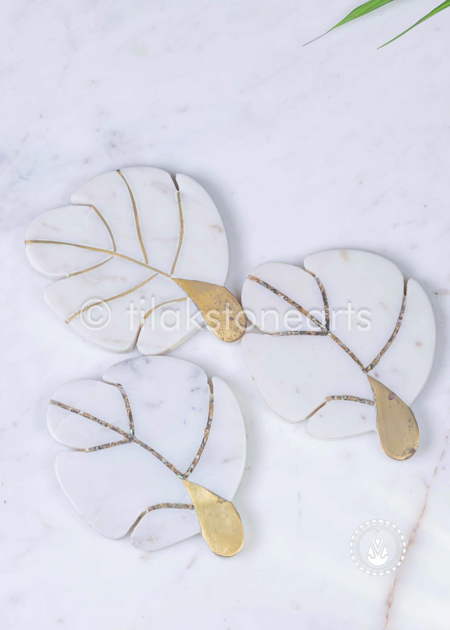 Tea Coaster 5" | Wonder White