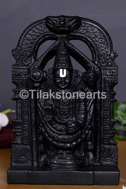 Divine Tirupati Balaji 9" Midnight Black Stone Idol