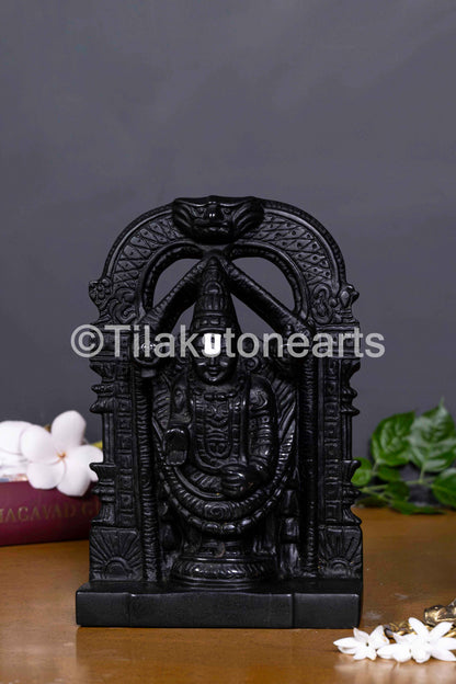 Divine Tirupati Balaji 9" Midnight Black Stone Idol