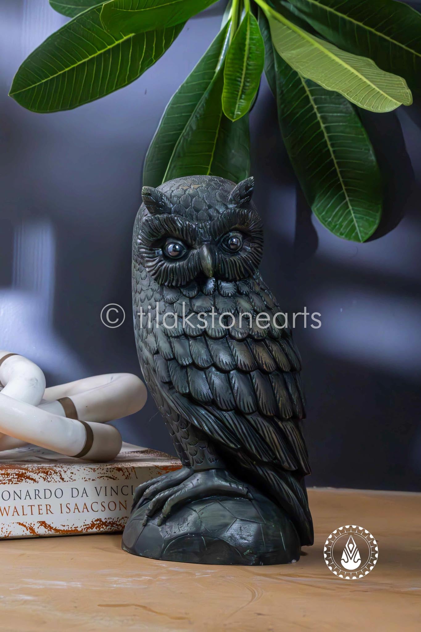 The Mystic Owl 12" | Black Marquina
