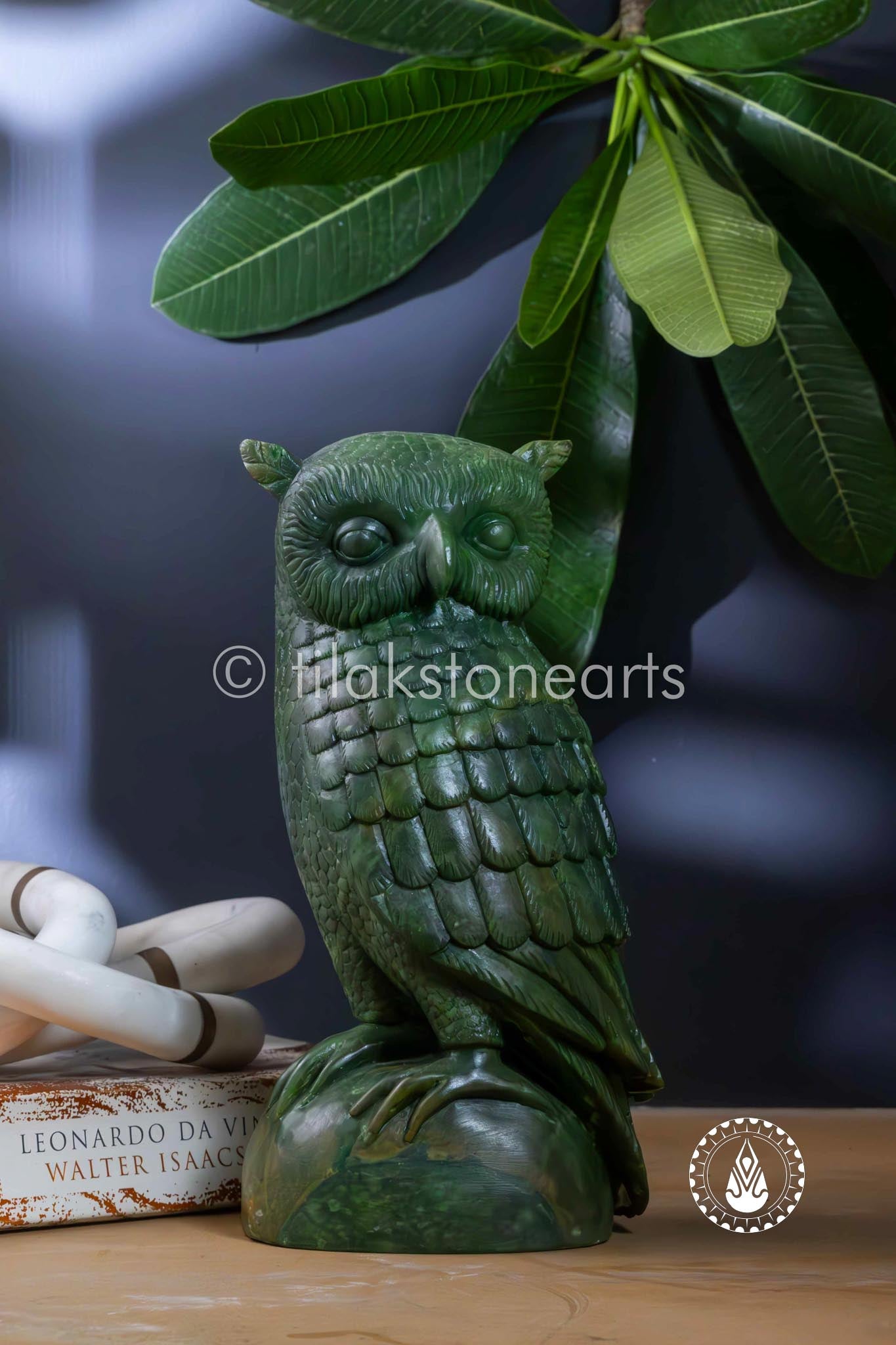 The Mystic Owl 12" | Black Marquina