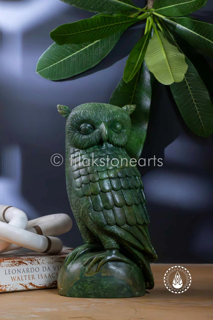 The Mystic Owl 12" | Black Marquina