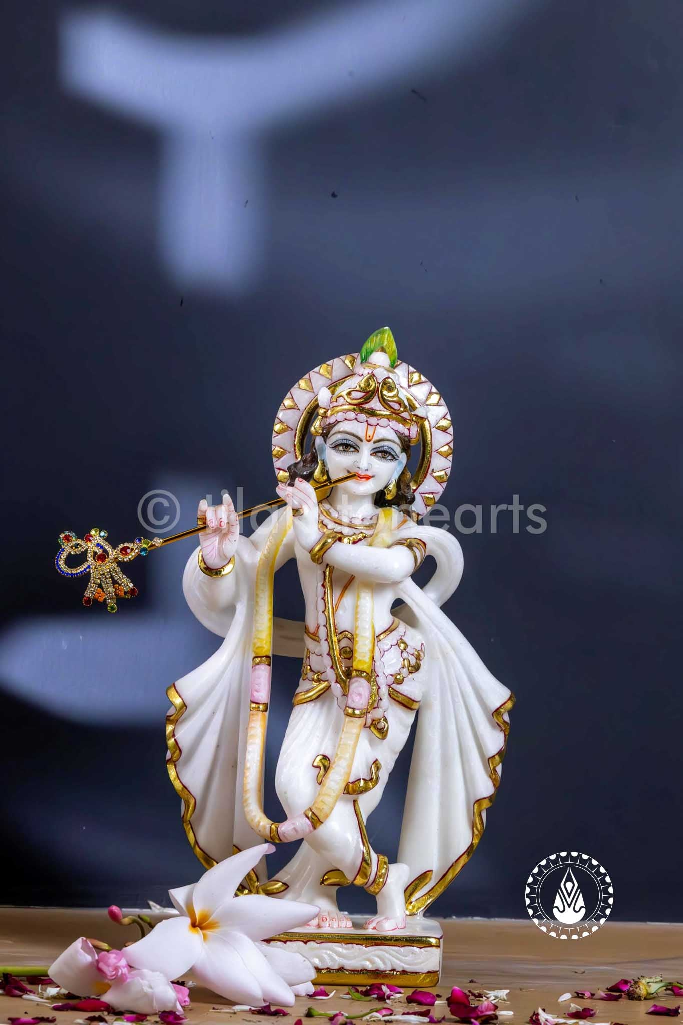 Krishna Ji 12" | Swiss White (Imported)