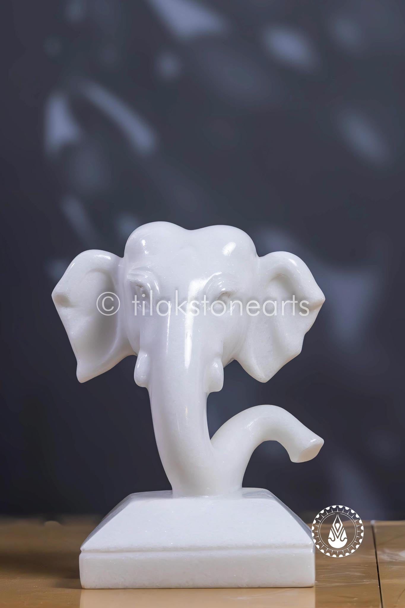 Ganesha 7" | Swiss White (Imported)