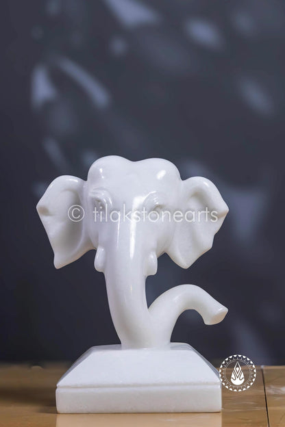 Ganesha 7" | Swiss White (Imported)