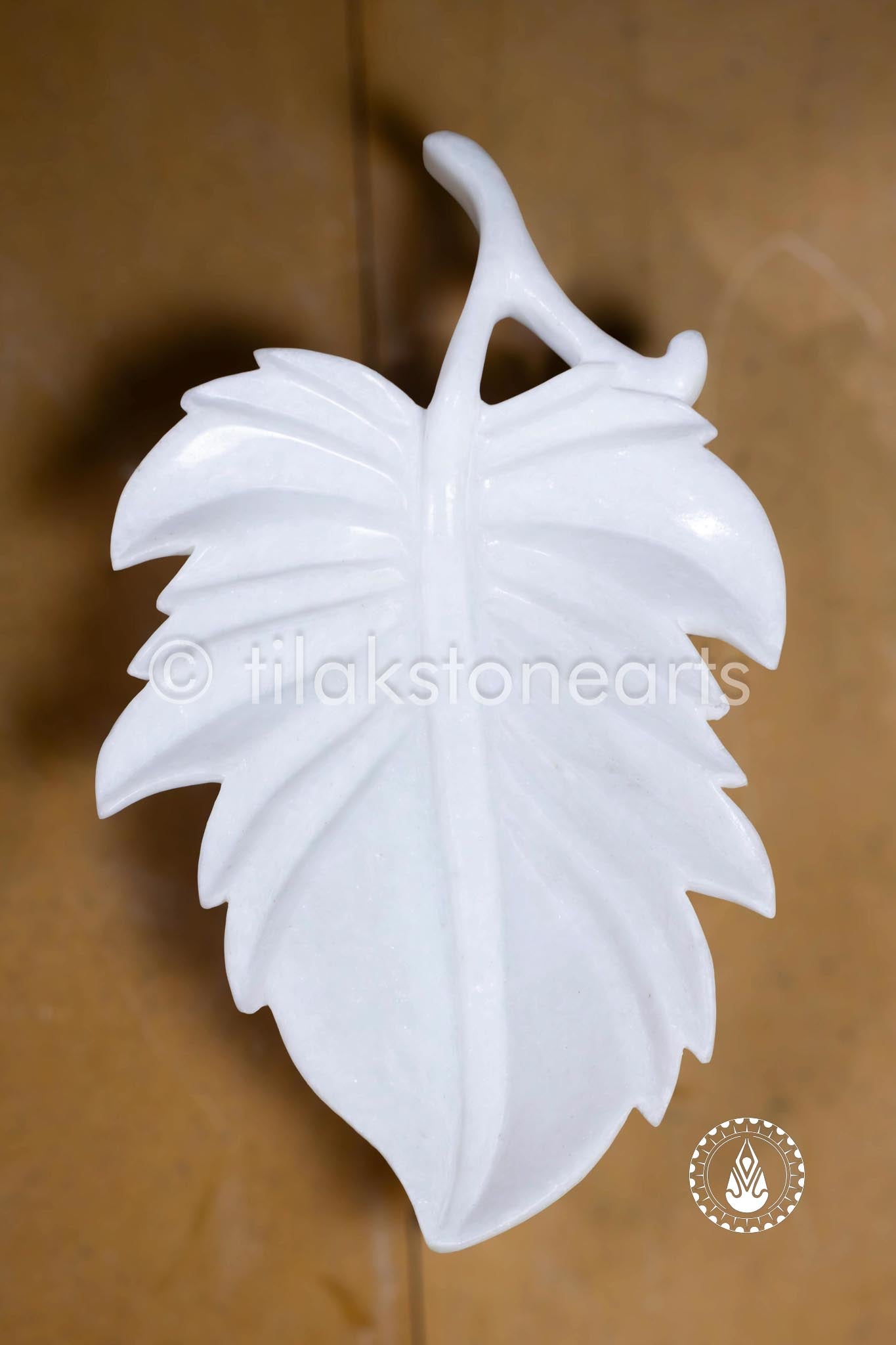 The Leaf Of Life 14" | Swiss White (Imported)