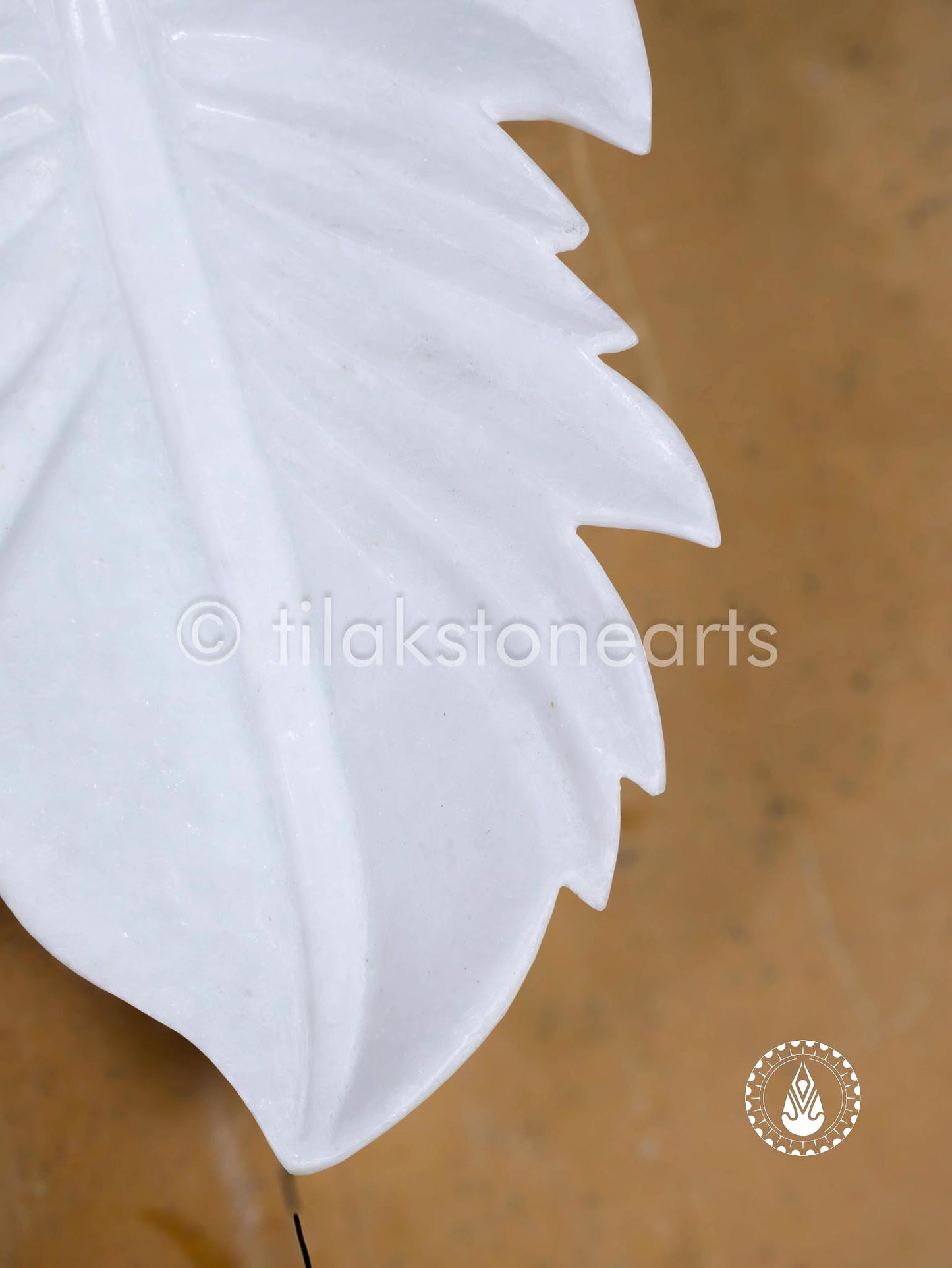 The Leaf Of Life 14" | Swiss White (Imported)