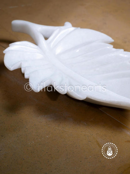 The Leaf Of Life 14" | Swiss White (Imported)