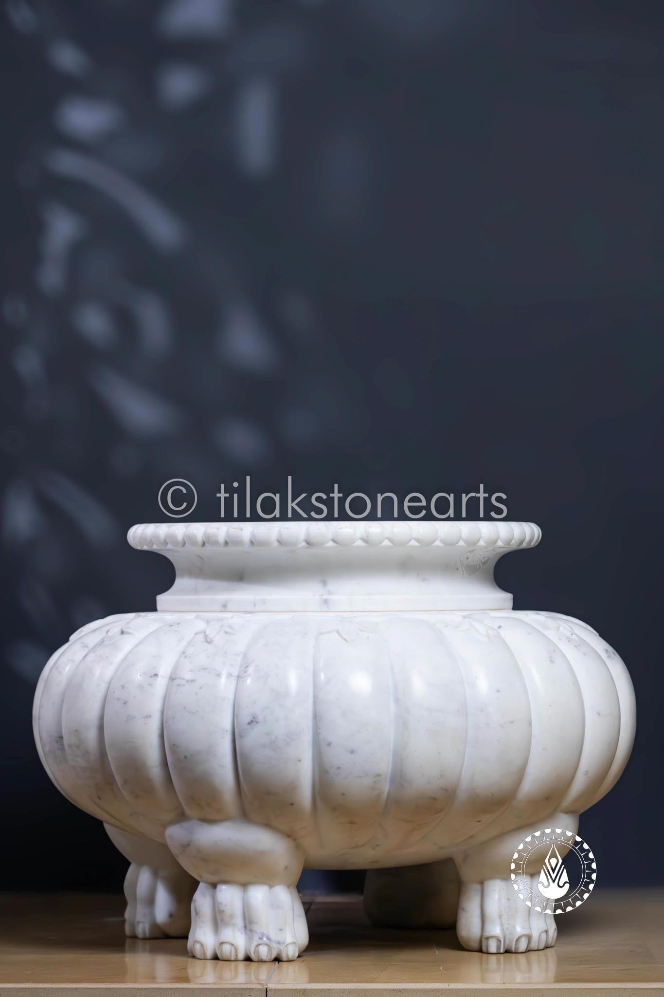 Lion Roost Pot 13" | Wonder White