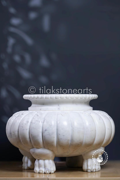 Lion Roost Pot 13" | Wonder White
