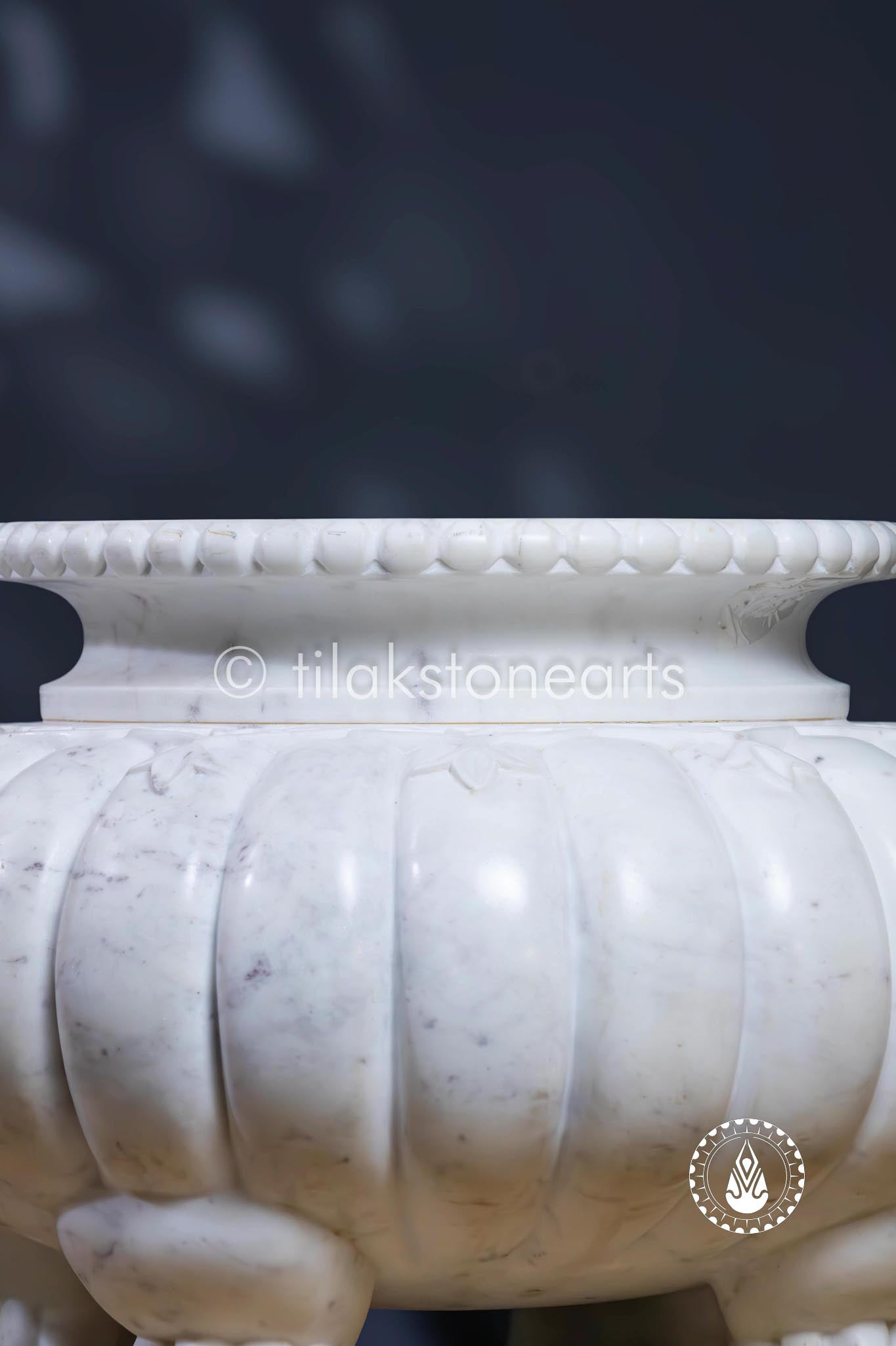 Lion Roost Pot 13" | Wonder White
