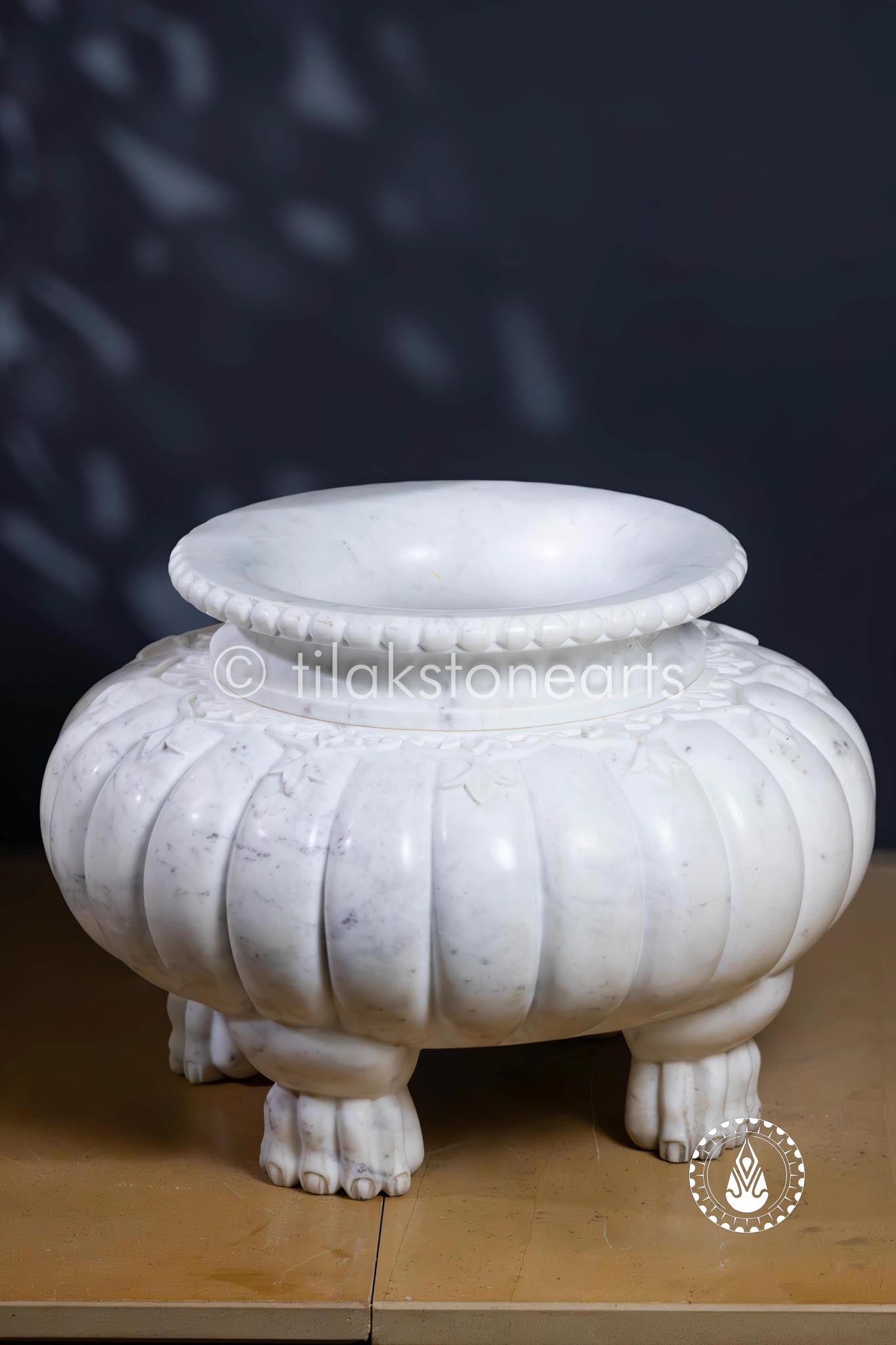 Lion Roost Pot 13" | Wonder White