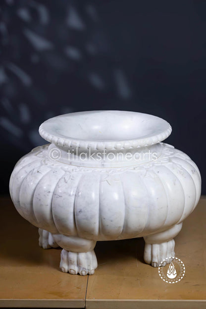 Lion Roost Pot 13" | Wonder White