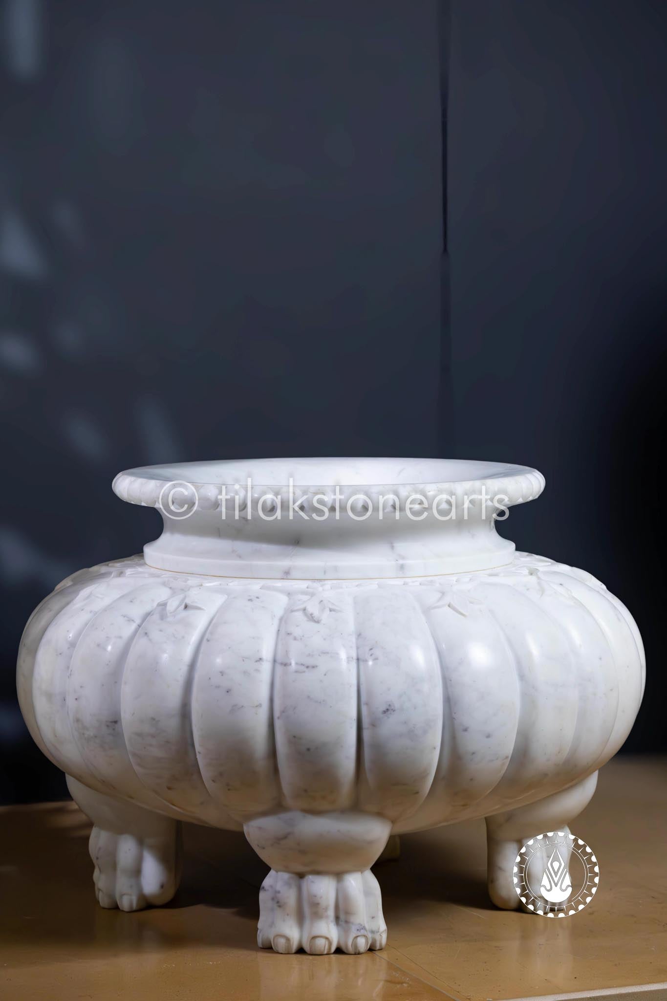 Lion Roost Pot 13" | Wonder White