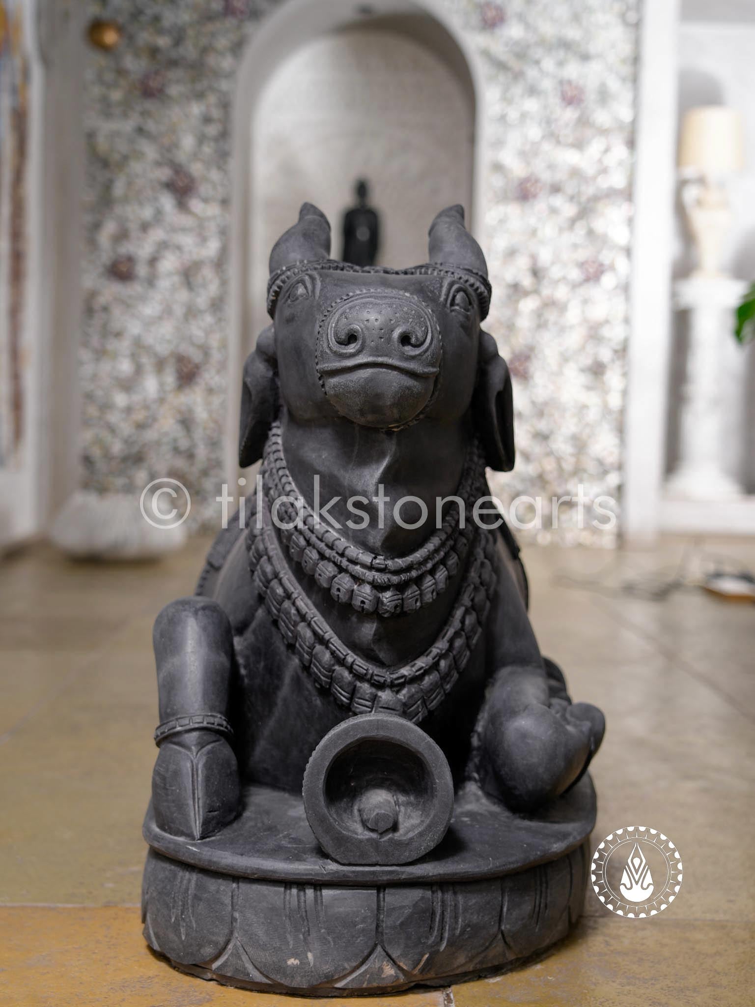The Beloved Nandi 27" | Midnight Black Stone