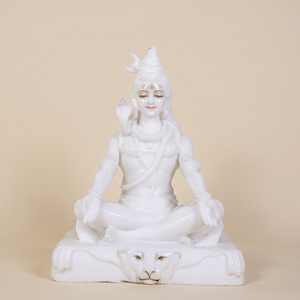 Shiv Idols